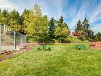 Bbq and picnic area